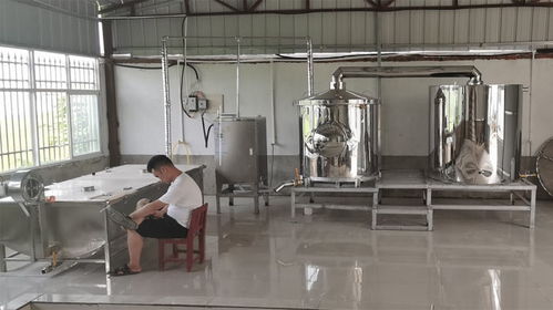 秋冬想開(kāi)個(gè)小型釀酒設(shè)備酒坊,烤酒設(shè)備多少錢(qián)一套